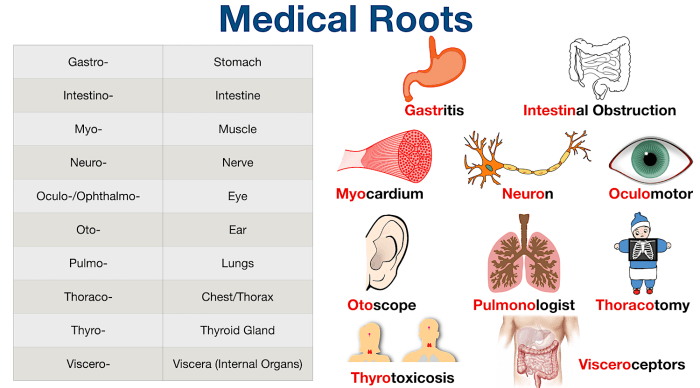 Medical terminology